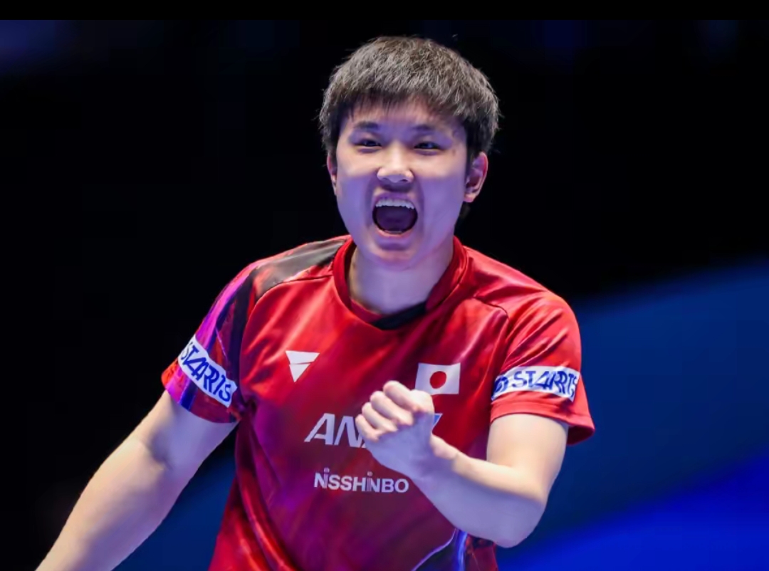 合同困局可 合同困局可